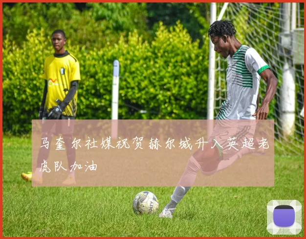 马奎尔社媒祝贺赫尔城升入英超老虎队加油